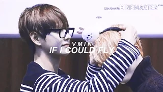 VMIN| If I could fly