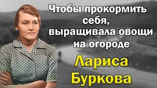 Умерла в нищете и забвении. Лариса Буркова