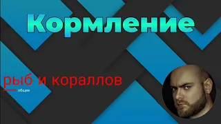 Кормление рыб и кораллов.