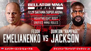 Федор Емельяненко победил нокаутом в главном бою турнира Bellator 237