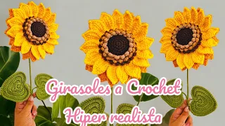 🌻 Te enseño Cómo Tejer un Girasol a Crochet | Tutorial Paso a Paso parte #1