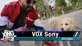 VOX Sony - Valer Kolnikaj