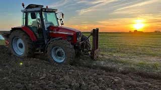 Orka pod jęczmień ozimy 2023r || Massey Ferguson 6290 & goizin||