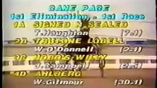 1984 Yonkers Raceway HOBO'S WILLY Cane Pace 1st Elimination