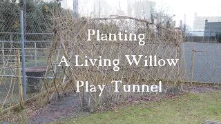 Planting A Living Willow Play Tunnel