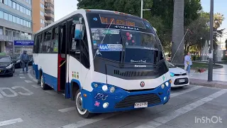 Diversos Microbuses de la V Region de Valparaiso Chile. 28/9/2023