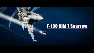 DCS World | F-18 Aim 7 Sparrow