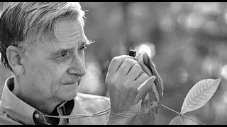 A Tribute to E. O. Wilson: A Life in Nature