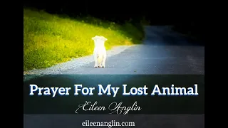 Prayer For A Lost Animal - Find A Lost Pet