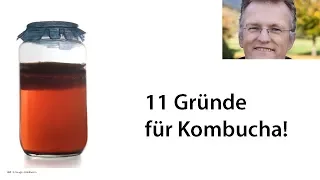 11 Gründe für Kombucha