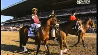 2009 Belmont Stakes - Summer Bird