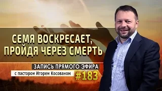 #183 Семя воскресает, пройдя через смерть - Запись прямого эфира от 20/04/2020 г.