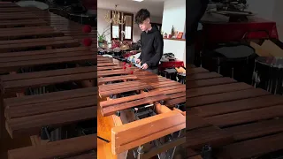 Federico Tonchia plays "Marimba Flamenca" (by Alice Gomez)