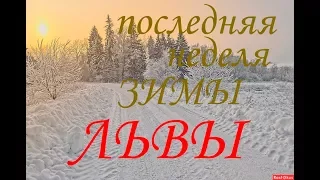 ЛЬВЫ. Прогноз на неделю с 26 фев. по 4 марта. 2018г. + БОНУС.