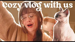 My August Cozy  vlog - Design, cat, walk and cozy aesthetic