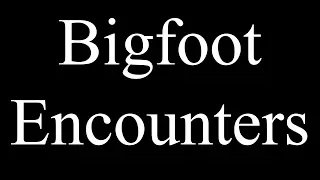 Bigfoot Encounters