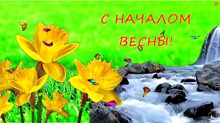 С приходом весны! С началом весны! Пожелания позитива и ВЕСЕННЕГО НАСТРОЕНИЯ!