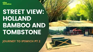 STREET VIEW: HOLLAND BAMBOO AND THE HISTORY OF TOMBSTONE LACOVIA (Journey to Ipswich Pt 2)