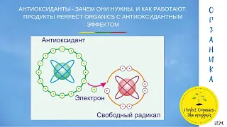 АНТИОКСИДАНТЫ - ЗАЧЕМ ОНИ НУЖНЫ, И КАК РАБОТАЮТ. ПРОДУКТЫ С АНТИОКСИДАНТНЫМ ЭФФЕКТОМ.