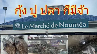 Le Marché de Nouméa ดูผักแล้ว มาดูกุ้งหอยปูปลาบ้างจ้า🐟🐠🦐🦀🐙