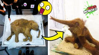 7 Animales EXTINTOS Que La CIENCIA Quiere REVIVIR 😲 | DeToxoMoroxo