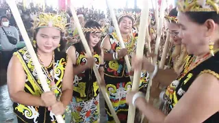 Festival Budaya Dayak Kenyah "Mecaq Undat" 2022, Desa Ritan Baru (Part 1)