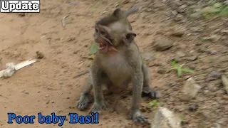 Don't bite me...! Poor baby monkey Basil crying with run escape from David warn bite him by no mom