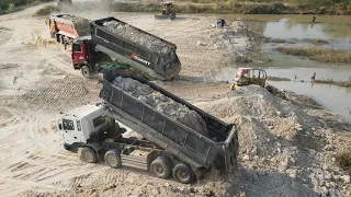 Best Mighty Bulldozer and Dump Trucks Operated Filling Land Project     Bulldozer Construction TV