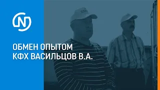 Обмен опытом КФХ Васильцов Владимир Алексеевич, июль 2020 г.