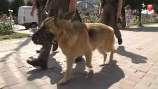 Військові патрулі, новини 2019-08-01