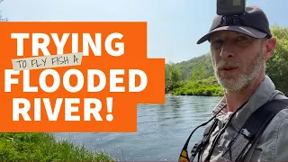 Fly Fishing a Flooded River for Wild Brown Trout