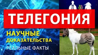 ТЕЛЕГОНИЯ🧬 НАУЧНЫЕ ДОКАЗАТЕЛЬСТВА и ФАКТЫ. Наследственность генов от предыдущих партнеров