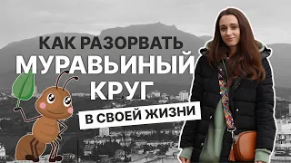 ТАКОГО ВЫ ТОЧНО НЕ ЗНАЛИ I Как разорвать муравьиный круг в своей жизни?