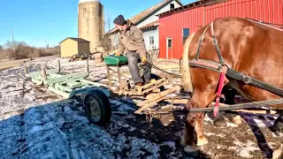 Our Amish Built Sled is Complete!! // Which SUFFOLK PUNCH Team is your Favorite?! #591