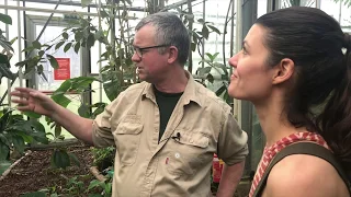 Utrecht Botanic Garden Tour - Plant One On Me — Ep 085