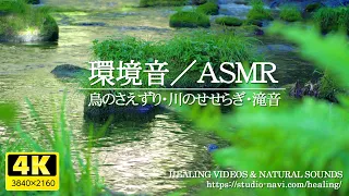 [Environmental sound / ASMR] Fresh green and bird vocalization, river babbling, waterfall sound