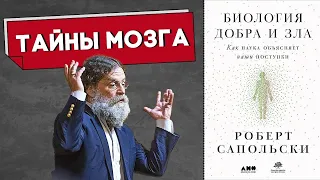 Функции мозга в “БИОЛОГИИ ДОБРА и ЗЛА” Роберта Сапольски | Почему мы боимся и тревожимся?