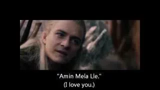 Legolas & Tauriel tribute - An unexpected love story (A short story - 1)