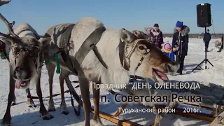 День оленевода. Поселок Советская речка.