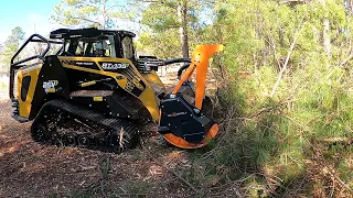 WHOLE TREES GONE IN SECONDS! ASV RT-135F With TMC Cancela Mulcher EATING TREES!