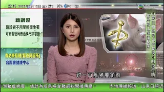 風暴迫近新西蘭北島 多班來往奧克蘭內陸及國際航班取消｜打鼓嶺豬場豬隻樣本現非洲豬瘟病毒｜據報北約秘書長斯托爾滕貝格無意第四次延任｜無綫10:00一小時新聞 TVB NEWS｜2023年2月12日