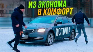 ТАКСИ! Из эконома в комфорт. Шкода Октавия Серого / ТИХИЙ