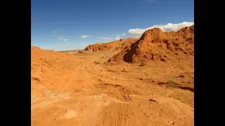 Fossils of Mongolia