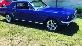 1965 Ford Mustang walk around