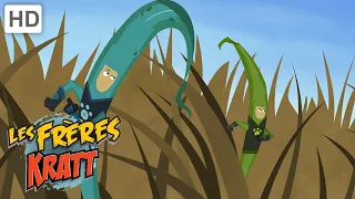 Les Frères Kratt |Le Jeu De La Chaîne Alimentaire| Saison 1