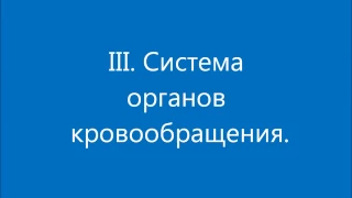 Тест по Сердечно-сосудистой системе