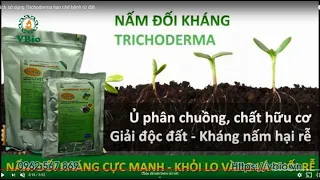 Cách sử dụng Nấm đối kháng Trichoderma hạn chế bệnh từ đất, Cây trồng