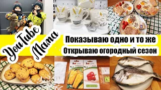 ЗАПАСЫ В МОРОЗИЛКЕ 🍓🍒◾ ПРОРАЩИВАЮ СЕМЕНА 🌿◾ ПЕЧЕНЬЕ С ШОКОЛАДОМ 🍪◾ FIX PRICE ◾ СИН ◾ РЫБКА ГОТОВА  🐟