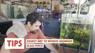 Remove Aquarium Glass Lily Pipes Without Breaking Them!