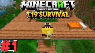 MACERA BAŞLASIN!! | Minecraft PE 1.19 Survival | #1